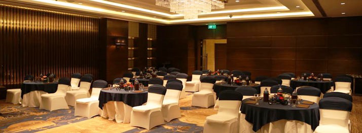 1242/The Pride Plaza Hotel - New Delhi 06.jpg